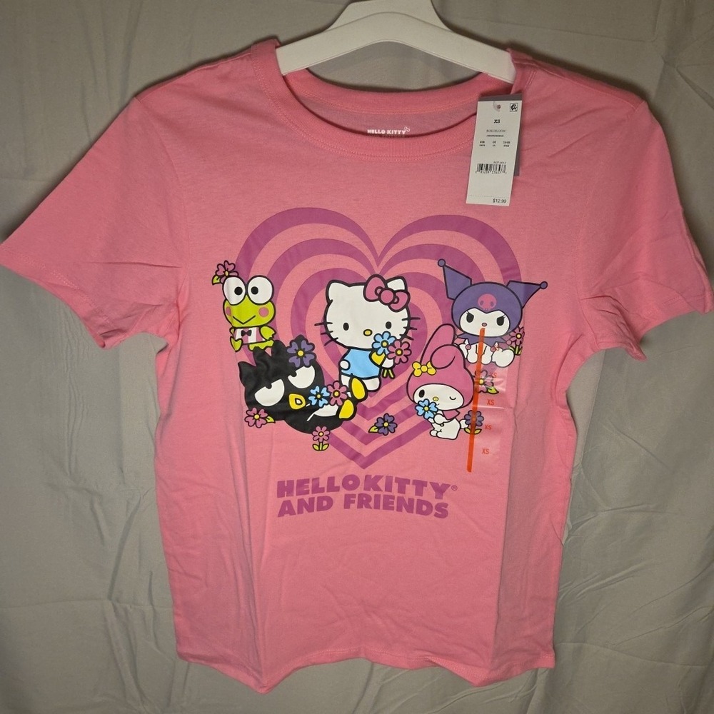 Hello Kitty And Friends Shirt Womens XS Sanrio‎ Graphic Tee Hybrid Apparel